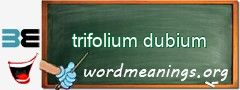 WordMeaning blackboard for trifolium dubium